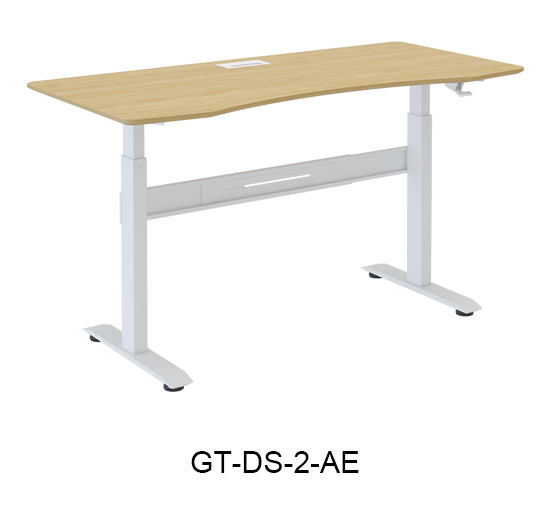 GT-DS-2-AE.jpg